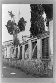 Μικρογραφία εικόνας
